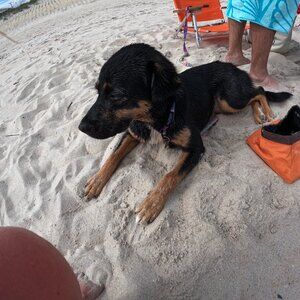 Meet your Posher, Michelina